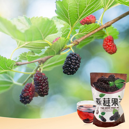 O1CN01XktF0f1TGdV1h29it_!!2206