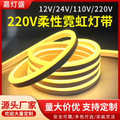 クロスボーダー 110V 高電圧 220V 柔軟なラウンド屋外防水シリコーン低電圧 512V24V ネオン LED ライトストリップ
