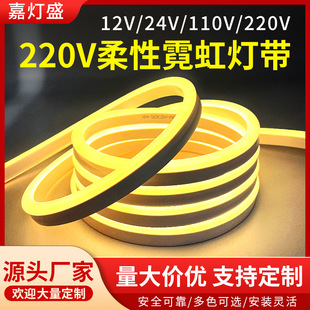 Cross-Border 110V High Voltage 220V Flexible Round Outdoor Waterproof Silicone Low Voltage 512V24V Neon Led Light Strip
