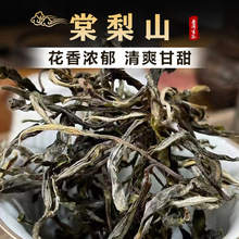 棠梨山普洱茶生茶云南临沧古树茶叶生普原料大叶种茶口粮茶批发