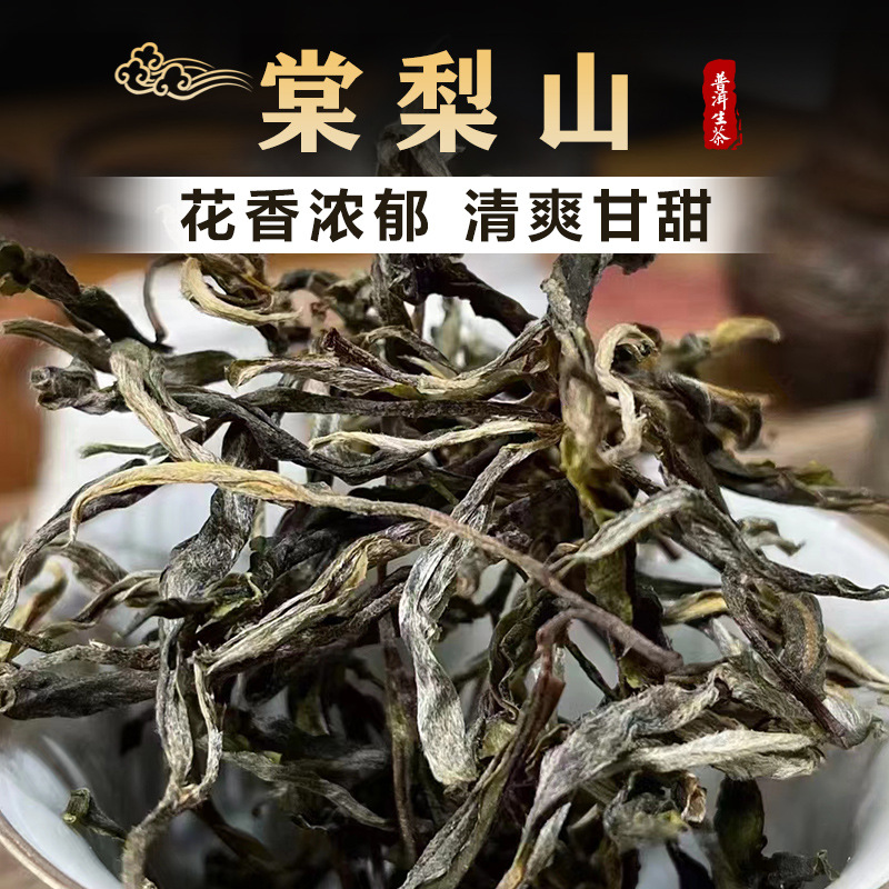 棠梨山普洱茶生茶云南临沧古树茶叶生普原料大叶种茶口粮茶批发