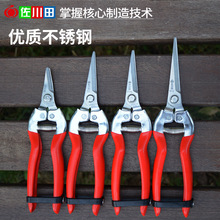 ������911���P䓹�֦��ժ�������Ѽ���ժ��ժ�����O��������֦��