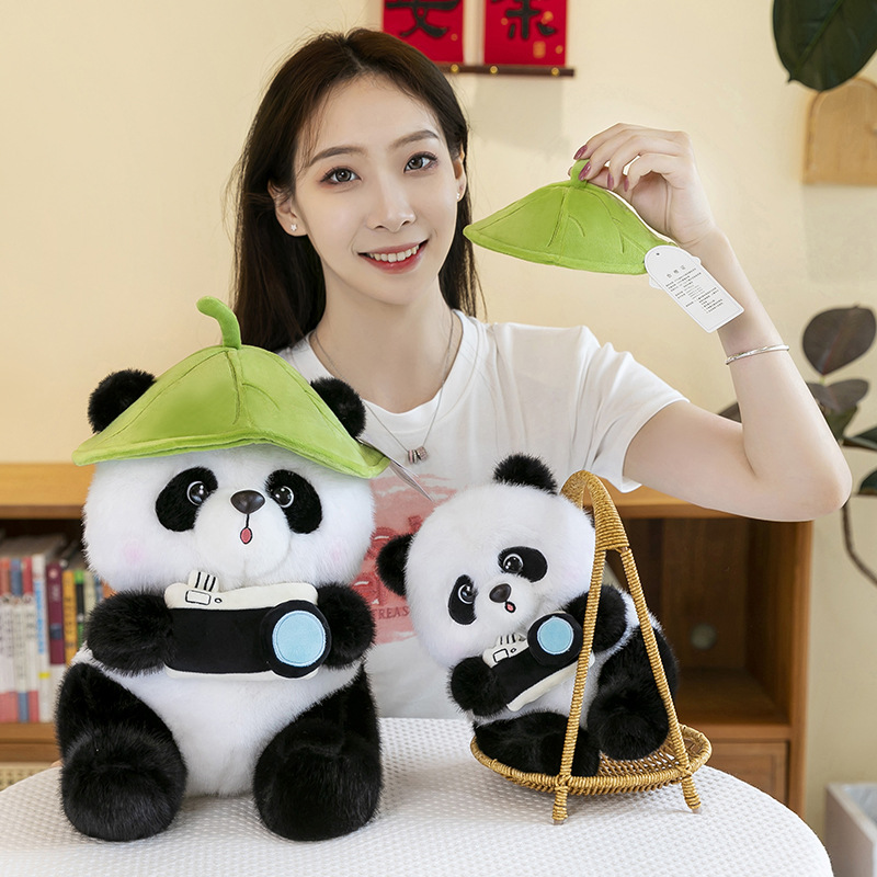 Cute realistic camera