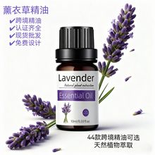 �羳��é����õ���䰢������ѩ�����m�������������ͬF؛