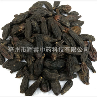 �����������������l�F؛�ϙ��