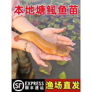 �������X�~������T�����~�~�絭ˮ�Bֳ����һ�����S�����~����