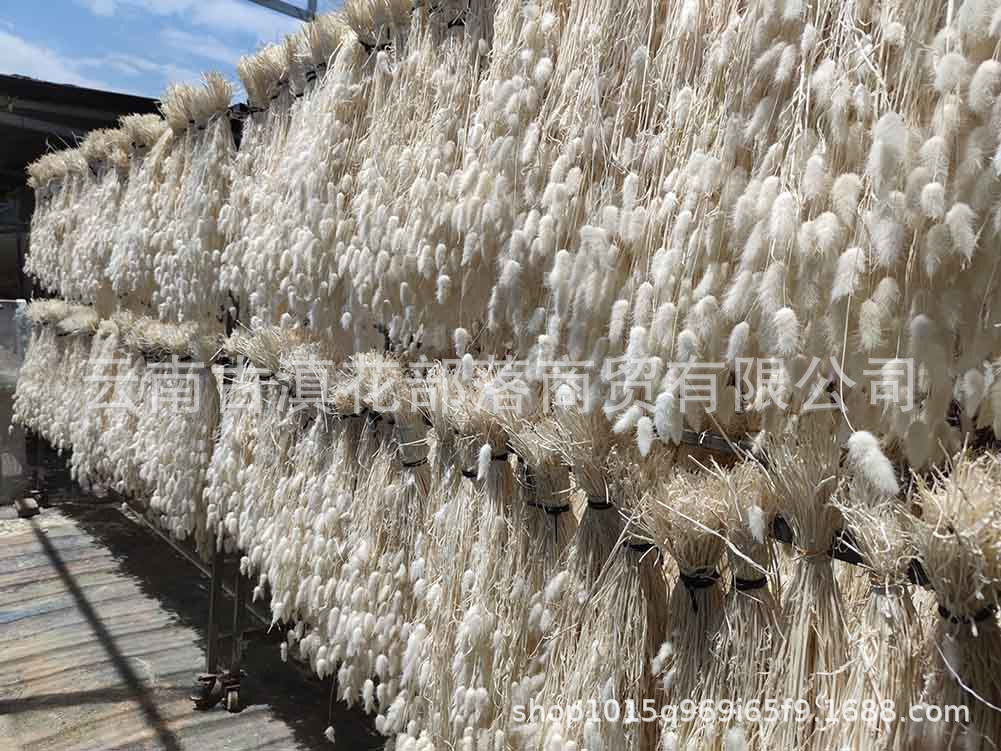 Hece046e6bc62451892368417643ee