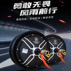 全順電機大出力モーター高速省電型長距離走王10インチ12インチ電動スクーター通用タイ