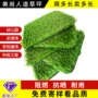 定制铺地绿化工程草皮