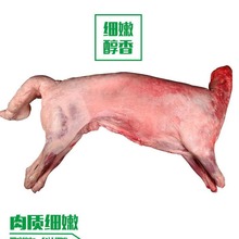 厂家滩羊之乡盐池滩羊肉 餐饮批发新鲜羊肉 31元每斤鲜嫩排酸羊肉