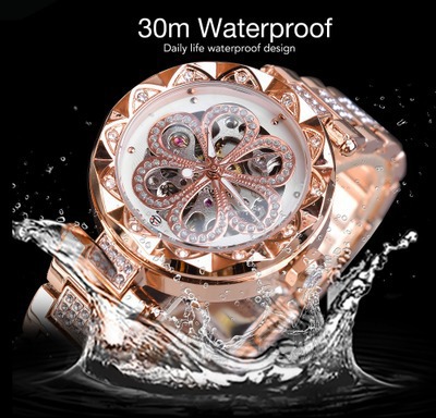 One-piece delivery Forsining automatic hollow women's mechanical watch women's watch women's watch