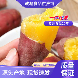 ��ɏ���� ���l1/9�����r���ĵعϑ����߲ˮ�������Ŵ�������ع�