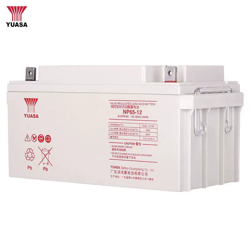 ，NP65-12，（），12V，65AH，EPS