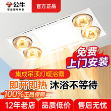 公牛浴霸灯暖一体灯300*600mm家用卫生间专用浴霸灯照明灯浴室灯