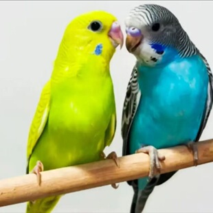 С�B�fԒ���Lĵ���̴��^�ǿ���С���B�����B�ݻ�Ƥ�W�^���B
