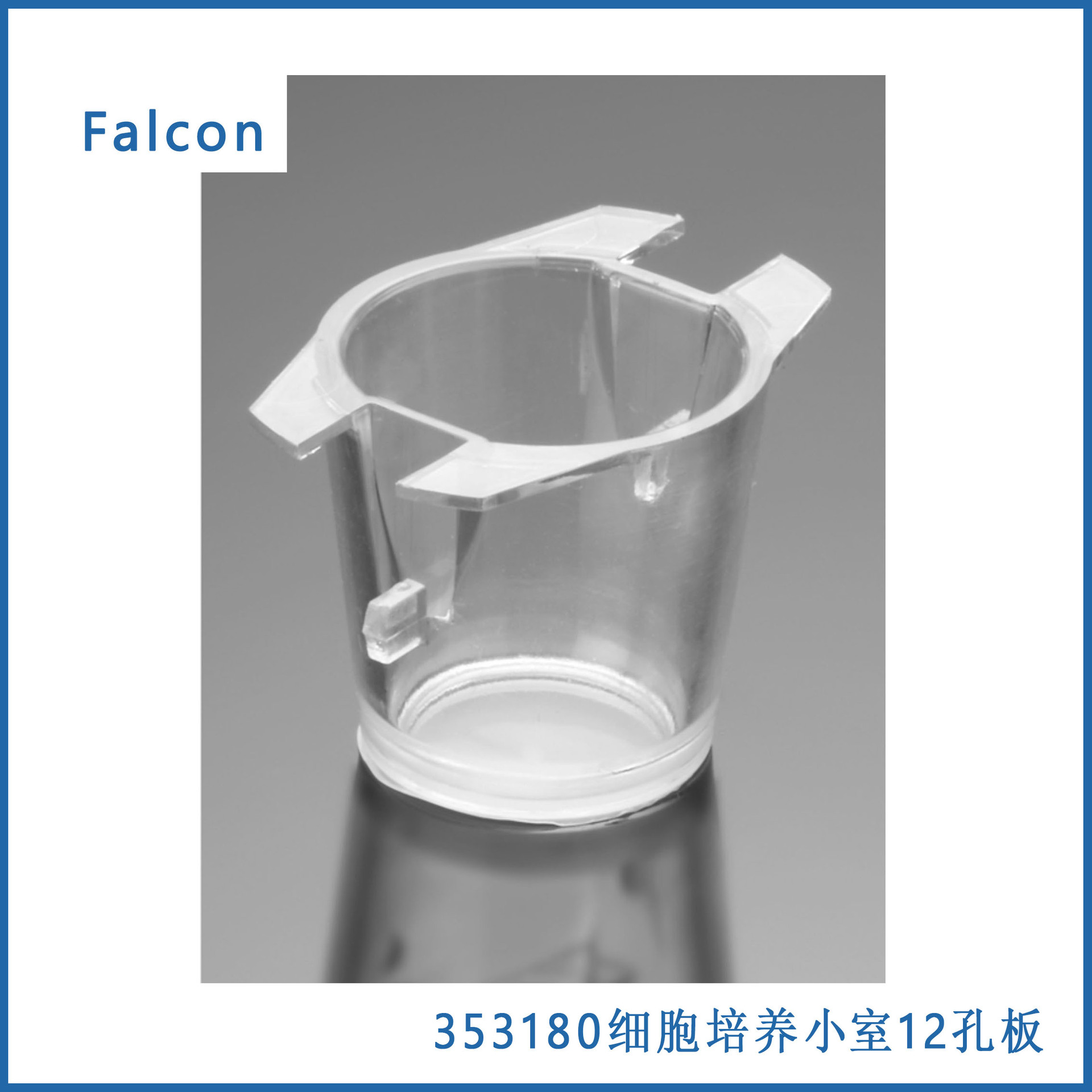 Falcon® 细胞培养小室，适用于12孔板，0.4 µm透明PET膜，无菌