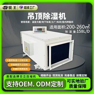 定制锐王吊顶除湿机大功率车间家用地下室除湿机干燥防潮吸湿机
