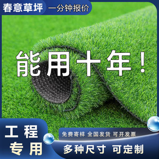 �����ƺ��̺�˹��ٲ�Ƥ���ϾGɫ�̨�����׃��@䁉|�b������Ƥ