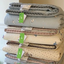 韩国大鹅全棉豆豆被2米春秋被可机洗保暖加厚秋冬双人大豆被冬被