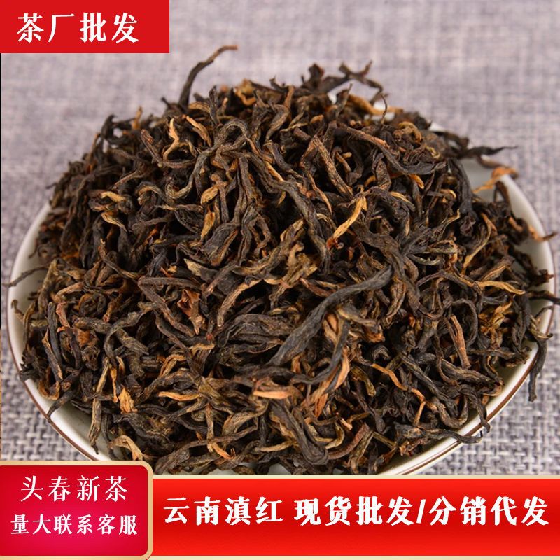 新品凤庆滇红功夫红茶 古树毛峰红茶23早春滇红茶叶500g散装批发