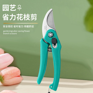 Pruning shears branch special scissors Garden Fruit tree pruning shears art garden scissors flower repair household garden scissors