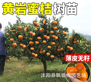 �����S���۽ۘ���޽ӽ��Ә���ӿȪ�����Ә����ϱ����Nֲ����Y��