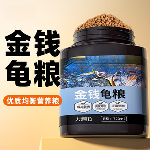 Golden money turtle feed tortoise living food yellow margin yellow throat water turtle food semi-water turtle food