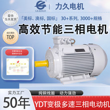 力久YDT三相异步电机变极多速风机泵类专用