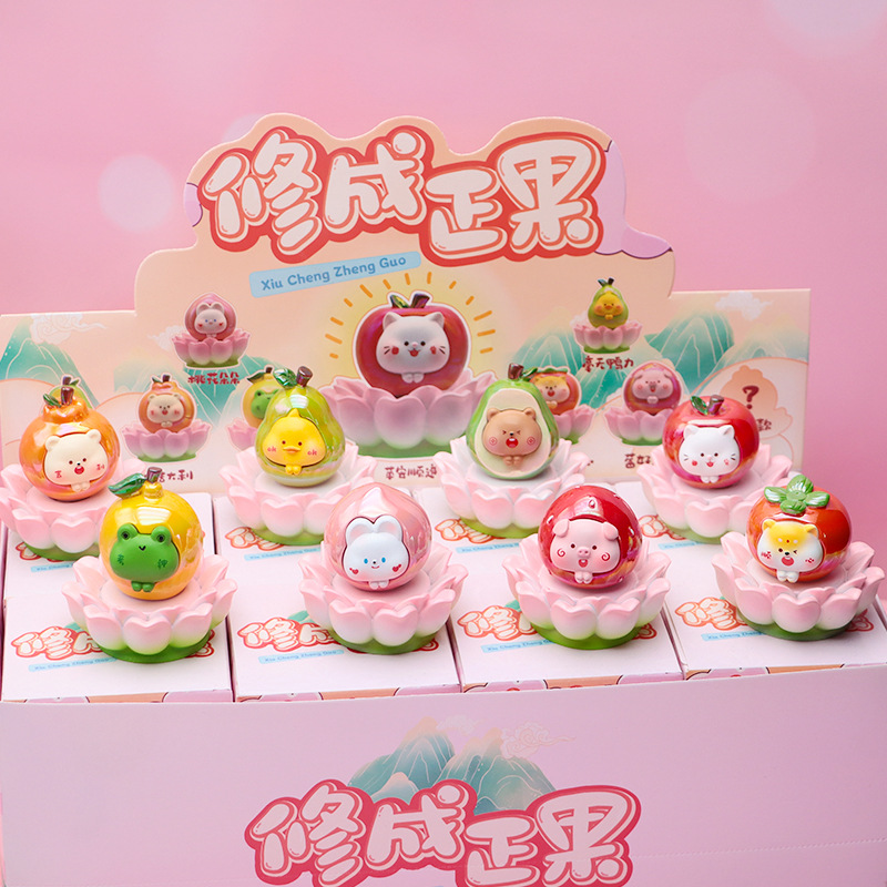 XLN0206 성과블라인드박스 [6개입]