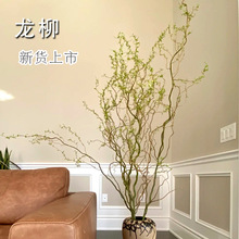 火云龙 火云龙品牌 图片 价格 火云龙批发 阿里巴巴