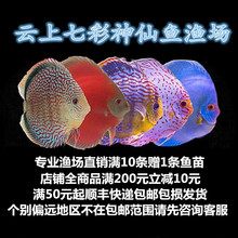 ҰѪ�t��ʯҰѪ�t��Ұ��F1�׺����߲������~���~���Ʒ�|�ߴ��Rȫ