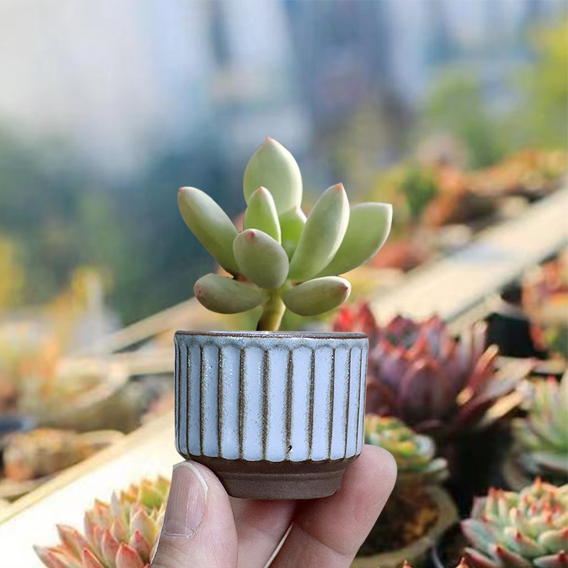 Fleshy Flower Pot Ceramic Fleshy Plant Stoneware Vintage Cartoon Thumb Pot Plain Ceramic Large and Small Diameter Simple Flower Pot