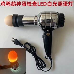 ����LED�յ��� �u���Z�����z��N���յ��� ��늰׹��յ���