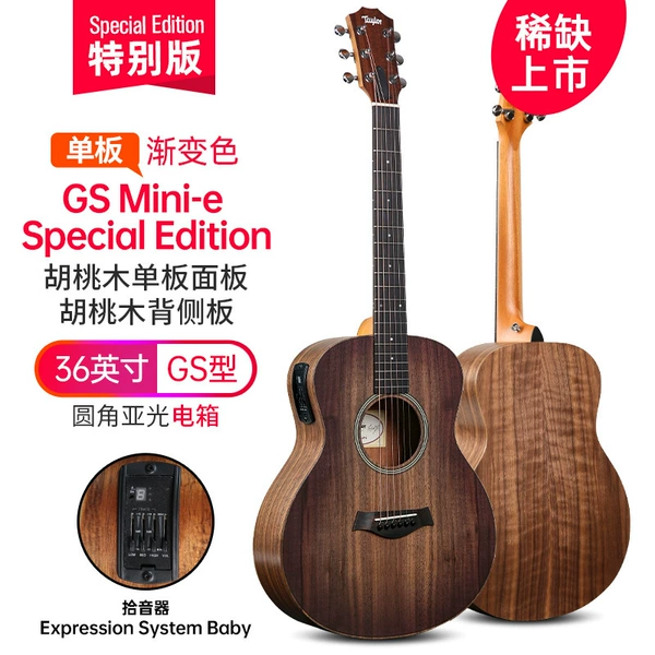 [24_新品GS MINI -E 特别版 全胡桃木 电箱 渐变色]