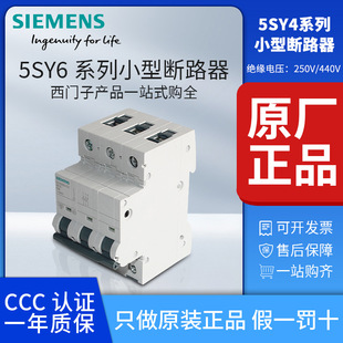 Siemens air switch 5SY6 household air open 2P small circuit breaker 1P total gate 3P63A short circuit protection 32A