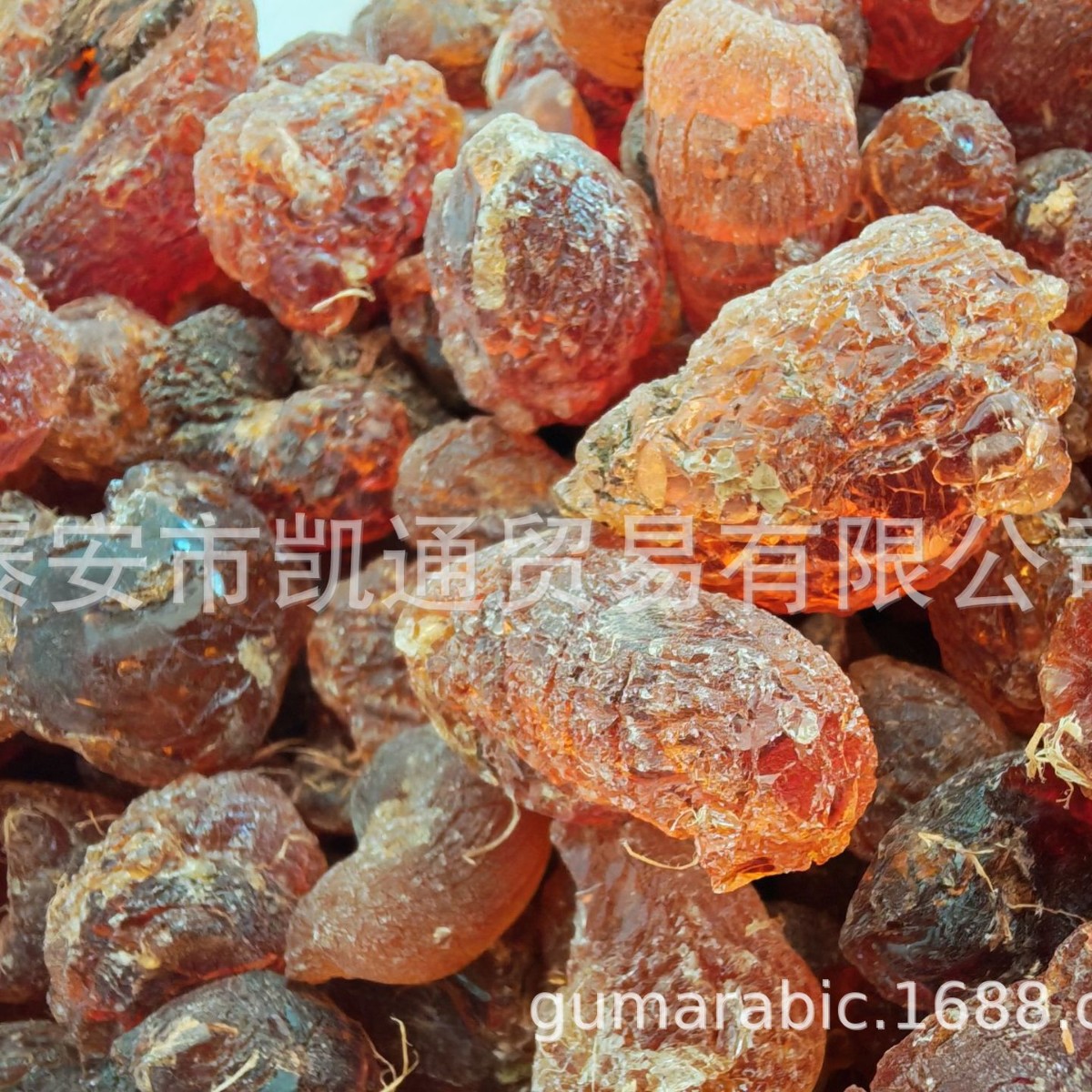 һ������������  ��ɫAcacia senegal�������� ����������