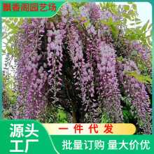 һl໨٘ձMڻ羫xֲͥԺļ_