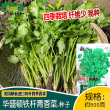 �Aʢ�D�F�U����˷N�� �r��ˈ@���Ի����߲��ļ��������