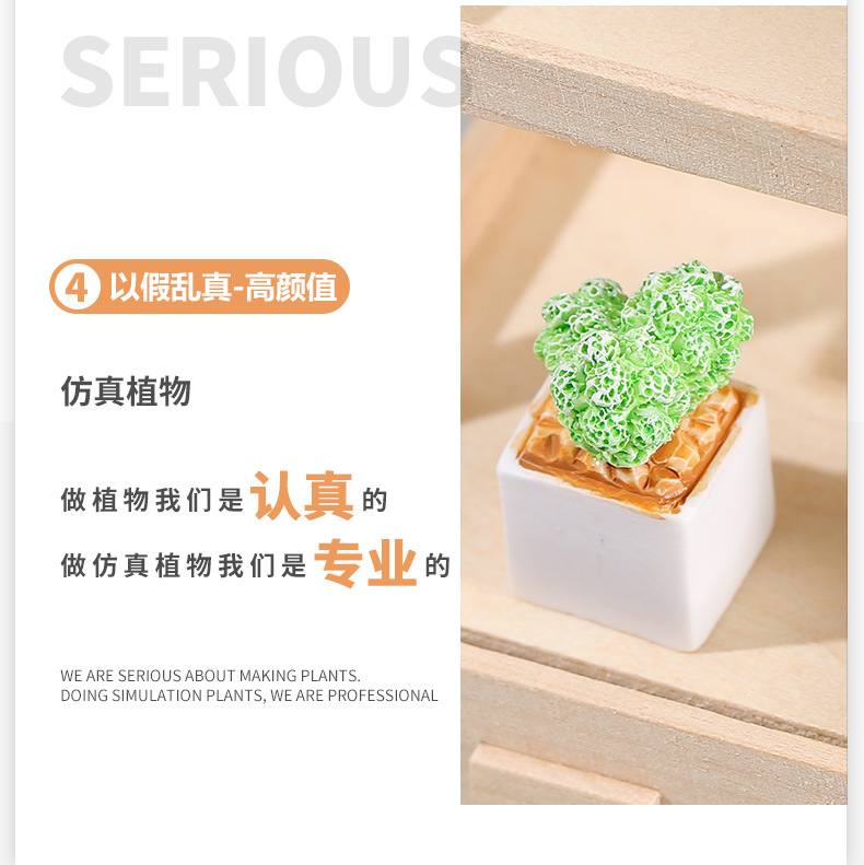 四色仙人掌_13
