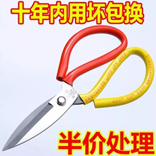 ���ü����I�����N���k�������i�Ƥ��ÿp���b��С̖���^�������