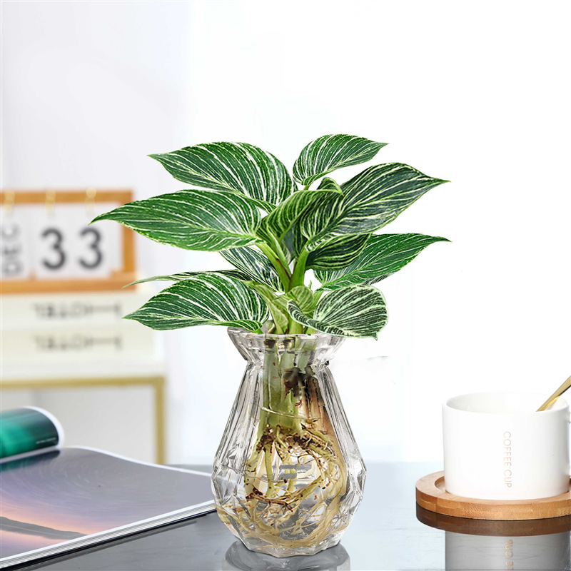 플래티넘 다이아몬드 30cm 높이 싱글 다이아몬드 유리병 + 영양 용액