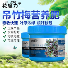 吊竹梅专用营养肥吊竹兰花叶竹夹菜红莲盆景室内观叶植物四季花肥