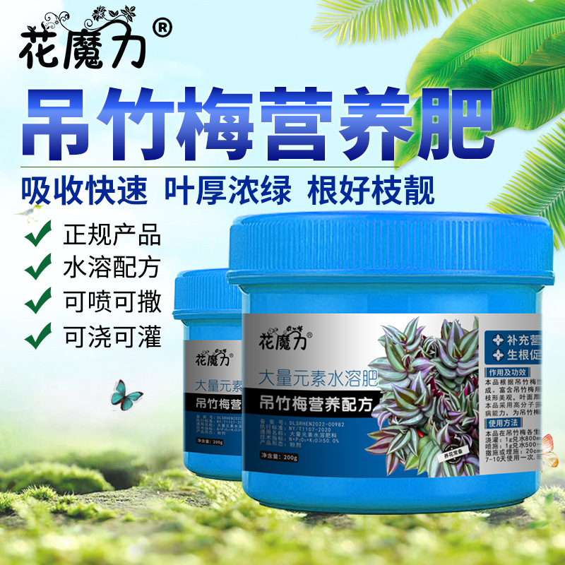 吊竹梅专用营养肥吊竹兰花叶竹夹菜红莲盆景室内观叶植物四季花肥