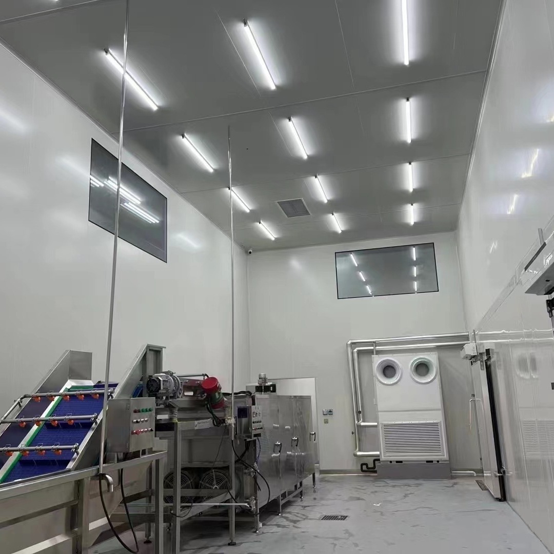 彩钢岩棉玻镁净化板 无尘电子车间净化板 新能源无尘车间隔断吊顶