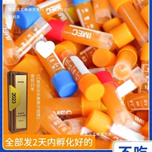 丰年虾幼虫冷冻卤幼冰冻鱼虫鱼食孔雀鱼苗水母饲料开口粮非脱壳卵
