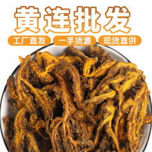 徽五弟黄连批发现货工厂直发源头一手多品大货批货定制养生茶花茶
