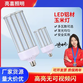 LED玉米灯;LED横插灯;LED球泡灯