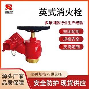 �S��ֱ�N 2.5��бʽ����yBS336 ����˨Ӣʽ����˨ ���Q����
