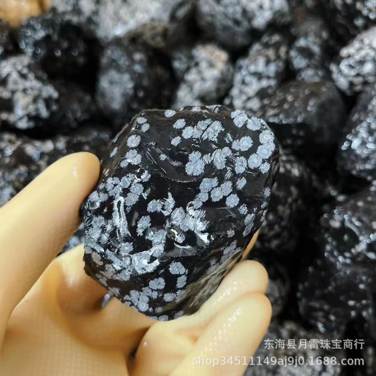 天然雪花黑曜石珊瑚原石收藏摆件地质科普标本矿石鱼缸石花盆造景