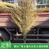Place of Origin Manufactor Of large number wholesale customized Various Specifications Bamboo Bamboo Bamboo Broom Broom products